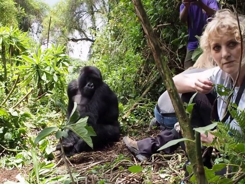 4-days-Bwindi-gorilla-self-drive-tour-and-wildlife