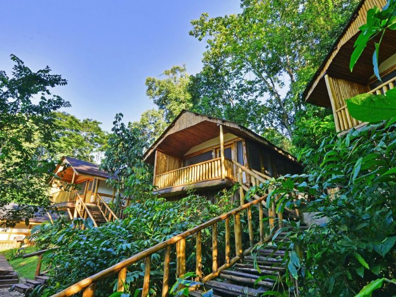 Buhoma Safari Lodge