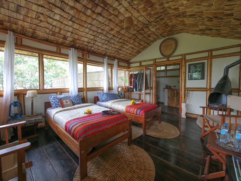 Nkuringo Safari Lodge for Accommodation