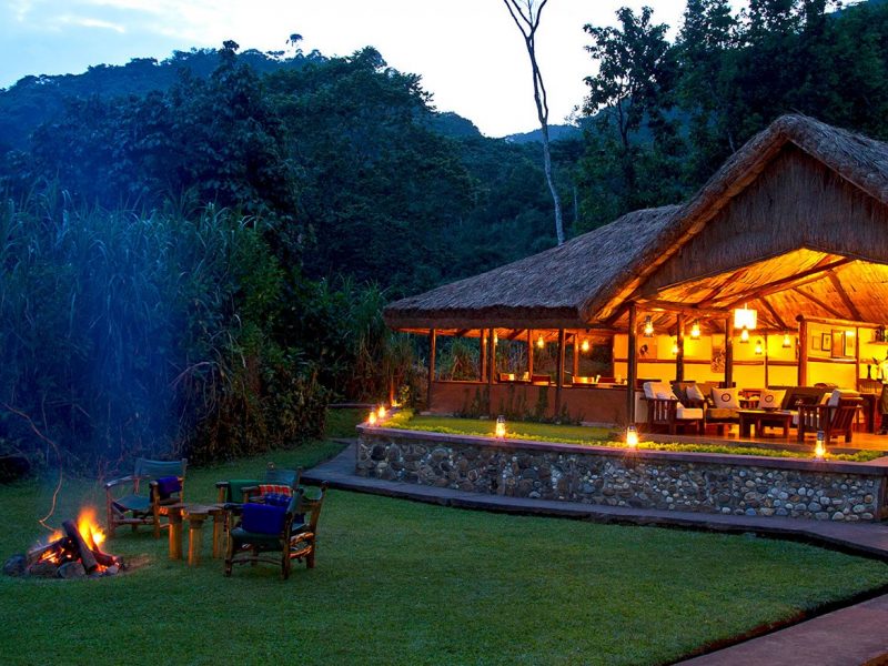 Sanctuary Gorilla Forest Lodge